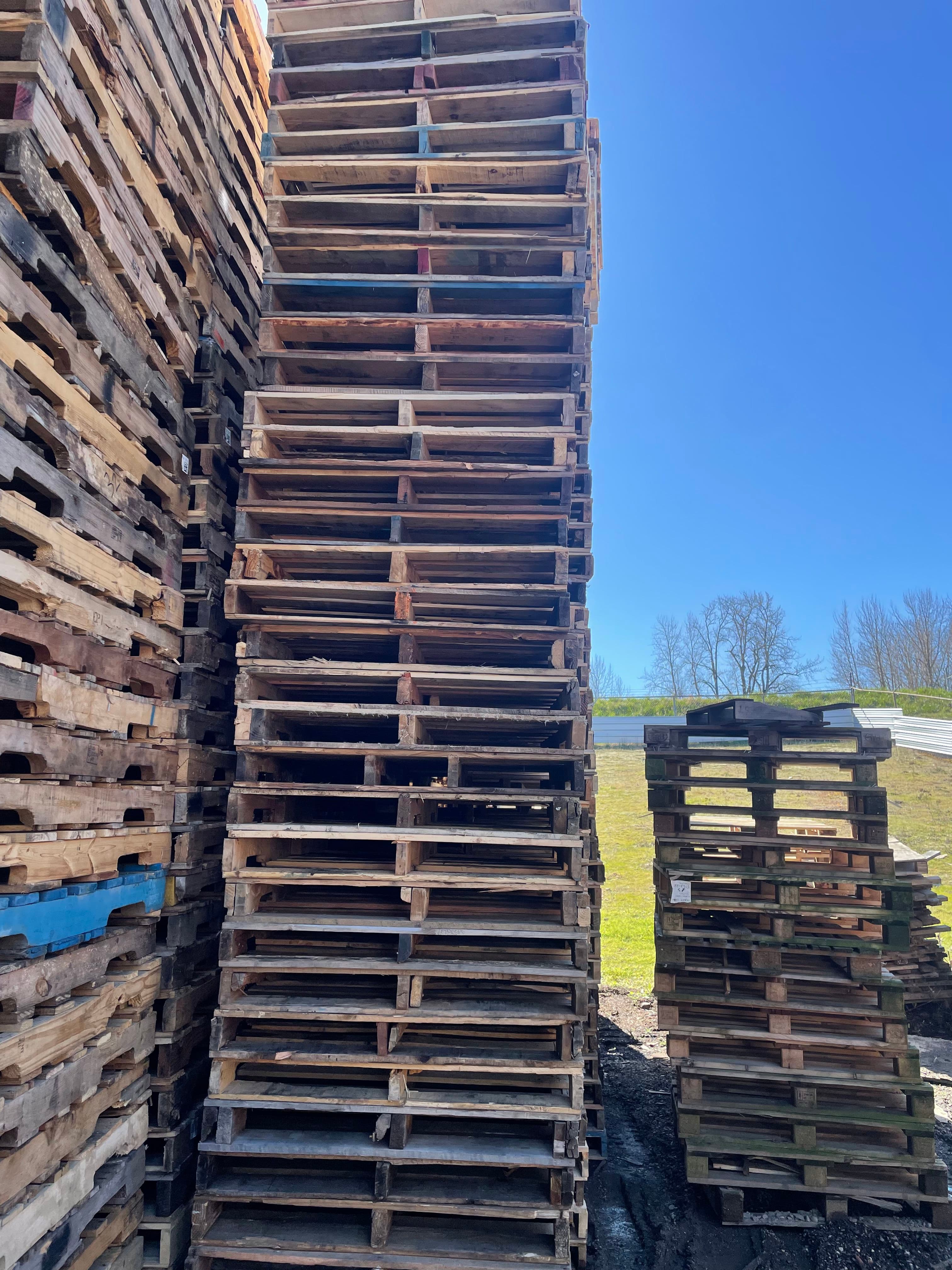 Standard & Repaired Pallets image 1