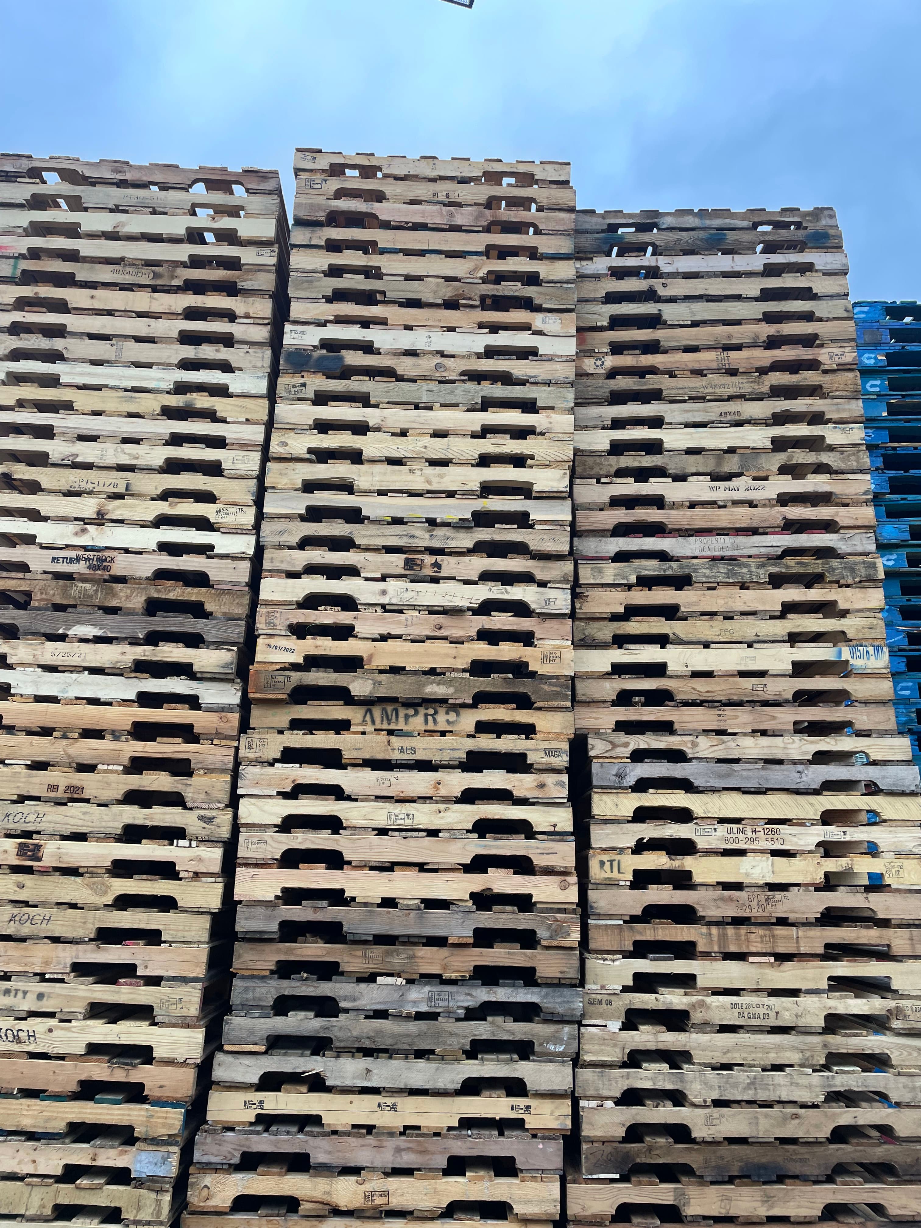Standard & Repaired Pallets image 2